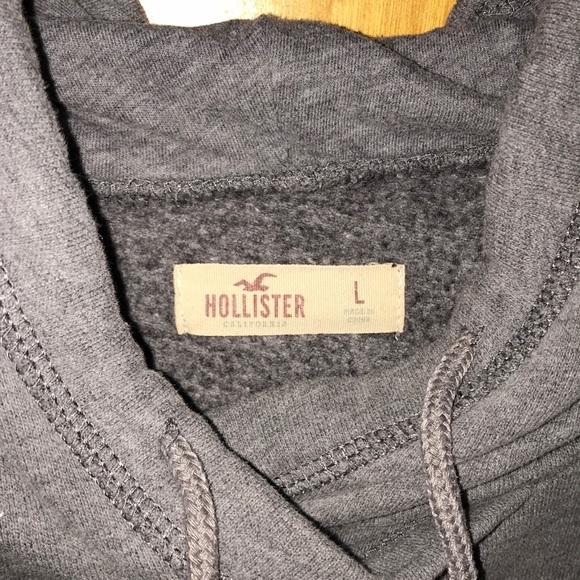 NWOT Size L hollister sweatshirt - Picture 2 of 2